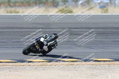 media/Feb-04-2024-SoCal Trackdays (Sun) [[91d6515b1d]]/4-Bowl Backside (11am)/